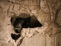 IMG 9061
