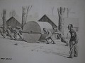 IMG 9502