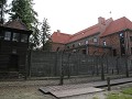 IMG 9545