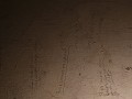 IMG 9124