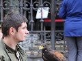 IMG 9166