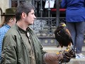 IMG 9168