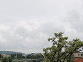 IMG 9317