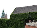 IMG 9323