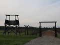 IMG 9633