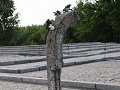 IMG 9645