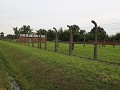 IMG 9661
