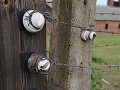 IMG 9680