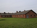 IMG 9681