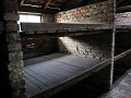 IMG 9694