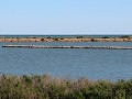 salinas lo pagan