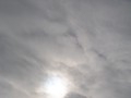 de zon probeert zijn weg te vinden door het dikke 
