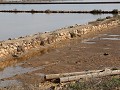 salinas de cabo de palos