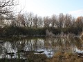 de wetlands van charca de suarez motril