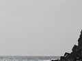 IMG 0236