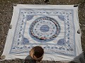 IMG 0252