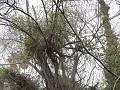 hoe mooi kan de woeste natuur zijn