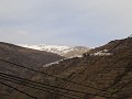IMG 0110