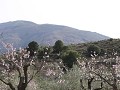 IMG 0141
