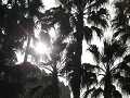 IMG 0192