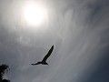een donkere wolk overschaduwt almunecar maar de zi