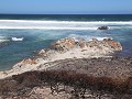 IMG 7599