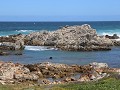 IMG 7606