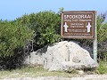 IMG 9641