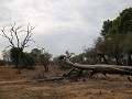 IMG 8485
