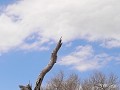 IMG 8498