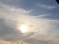IMG 8458