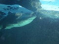 IMG 9439