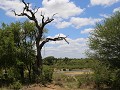 IMG 9080