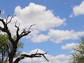 IMG 9079