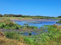 riviermonding Onrusrivier