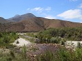 IMG 8007