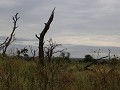 IMG 8097