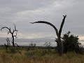 IMG 8098