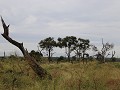IMG 8102