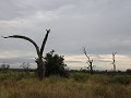 IMG 8099