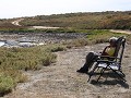 helemaal marc zijn ding hier, de baai in cape colu