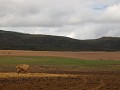 IMG 7643