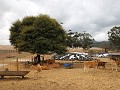 IMG 7644