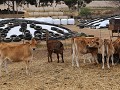 IMG 7651