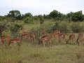 IMG 8191