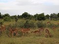 IMG 8196