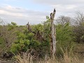 IMG 8678