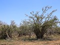 IMG 8652