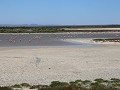 IMG 9596