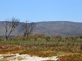 fisherhaven lagoon